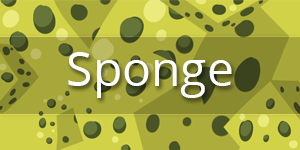 Sortie de Sponge