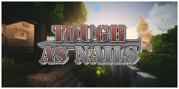 Mod Tough As Nails 1 9 4 1 12 2 1 16 5 Minecraft Fr