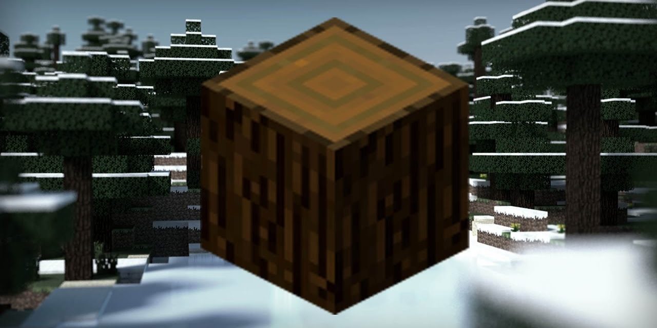 2 blocs Minecraft dans le thème de l’Hiver