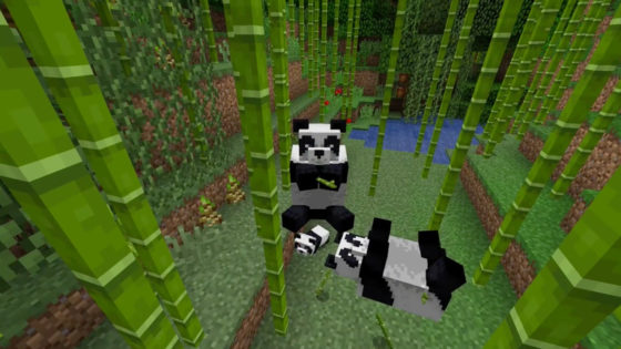 pandas mignon minecraft