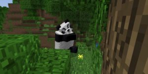 seed minecraft bedrock 1.9 jungle panda