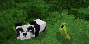 seed minecraft bedrock 1.9 jungle panda perroquet