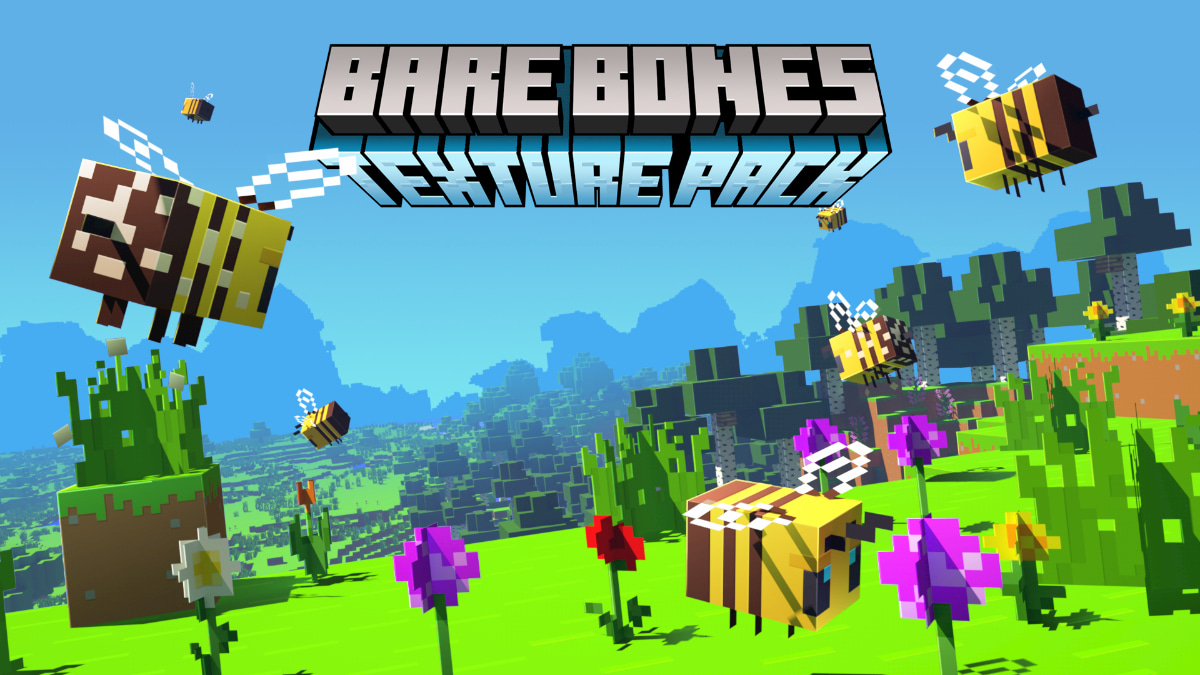 Bare Bones – Pack de Textures - 1.7 → 1.18