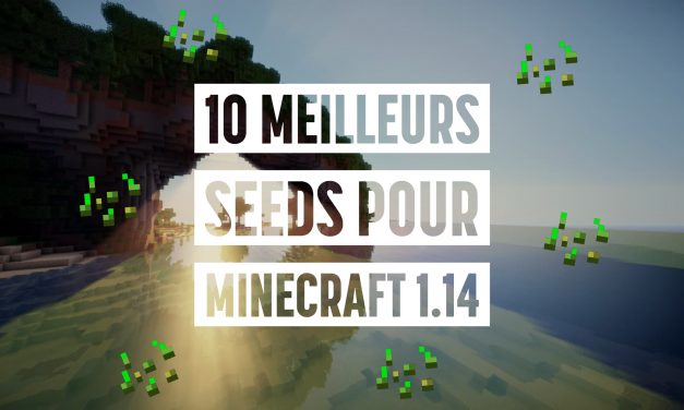 Les 10 meilleurs seeds pour Minecraft 1.14
