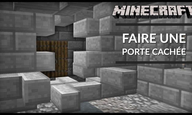 Comment faire des portes cachées dans Minecraft ?