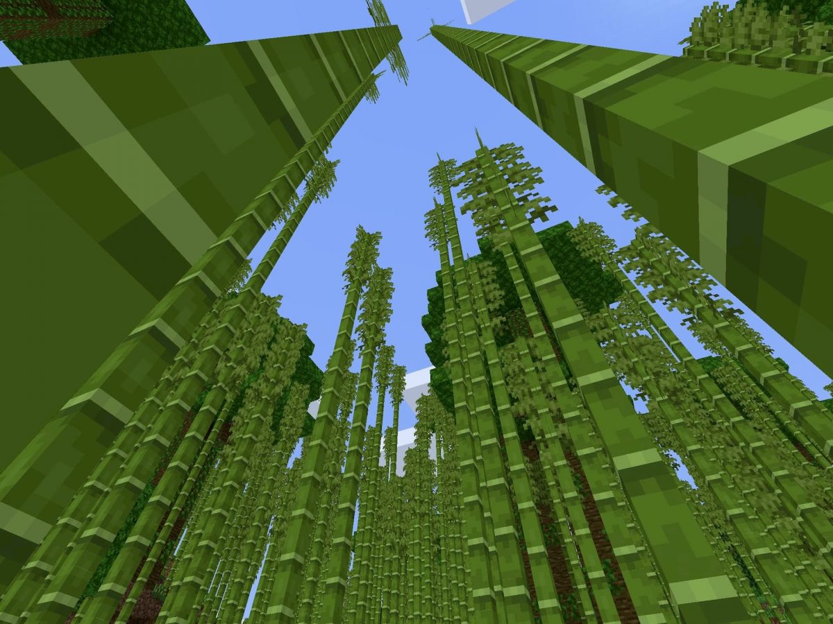 Seed et Graines pour Minecraft Bedrock 1.12 : Colline jungle bambou foret dense