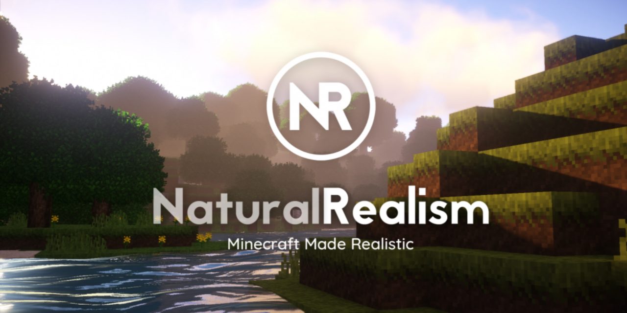 [Pack de Textures] NaturalRealism – 1.12 → 1.14