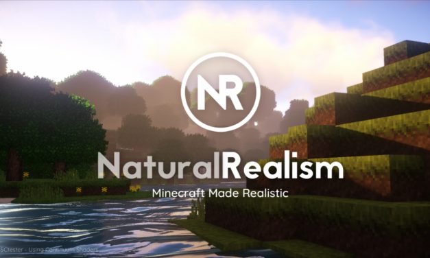 [Pack de Textures] NaturalRealism – 1.12 → 1.14