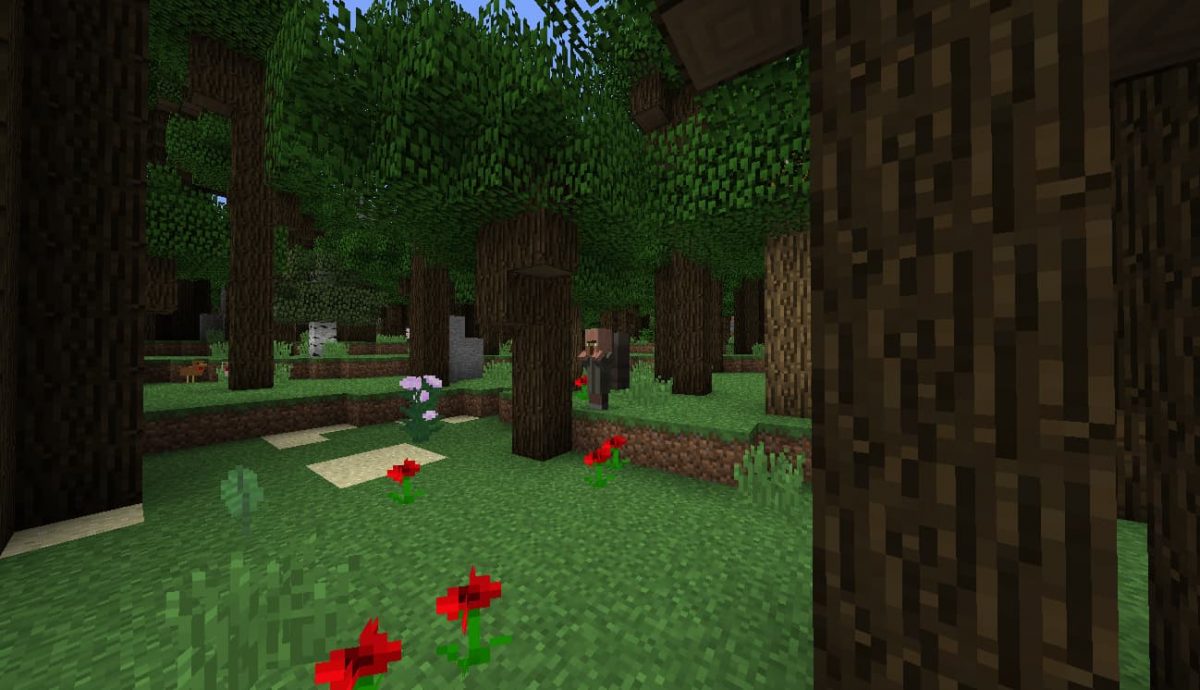 Modpack Roguelike Adventures and Dungeons : Foret