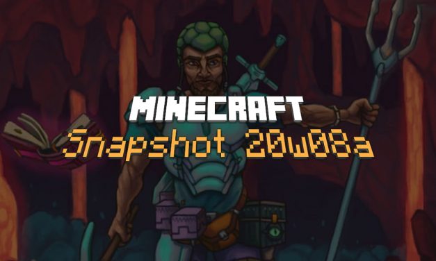 Snapshot 20w08a : Minecraft 1.16