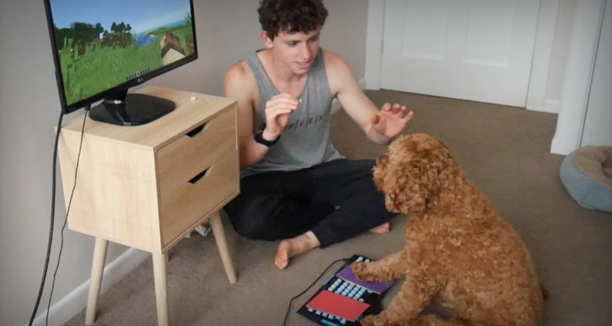 Il apprend à son chien comment jouer à Minecraft