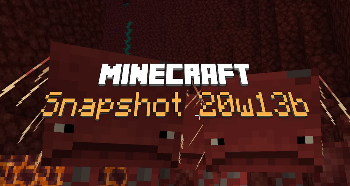 Snapshot 20w13b : Minecraft 1.16