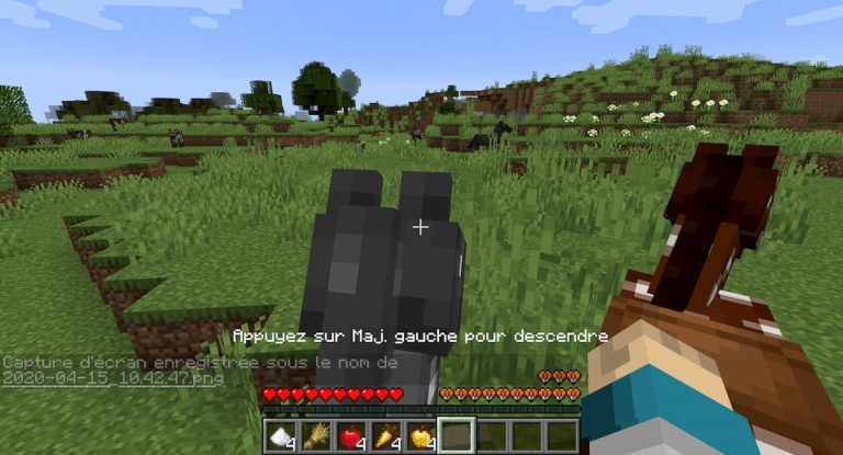 Comment apprivoiser un cheval dans Minecraft ? - Minecraft.fr