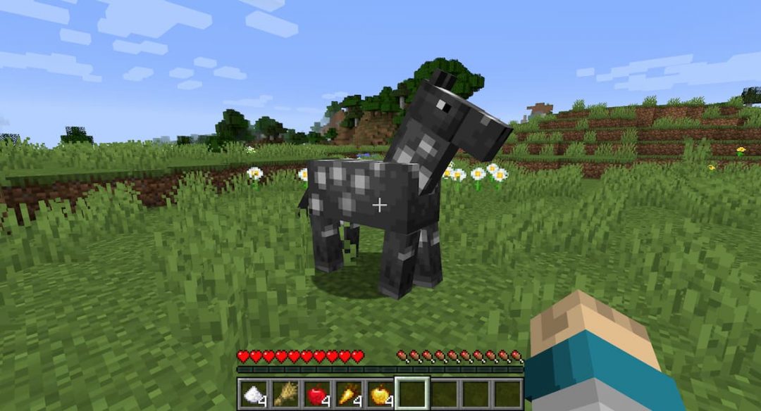 Comment Apprivoiser Un Cheval Dans Minecraft Minecraft Fr