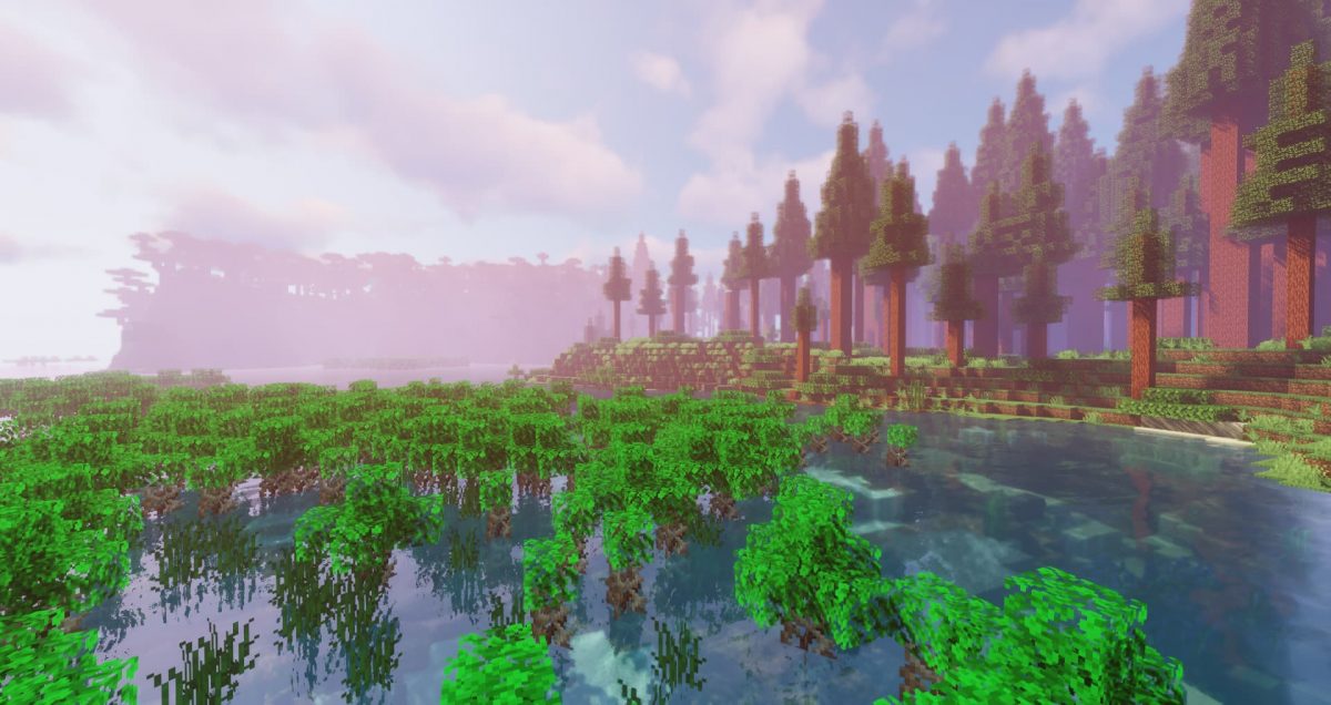 Valhelsia 2 : un marais avec une forêt en arrière plan