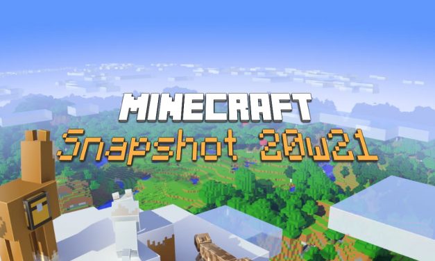 Snapshot 20w21a : Minecraft 1.16