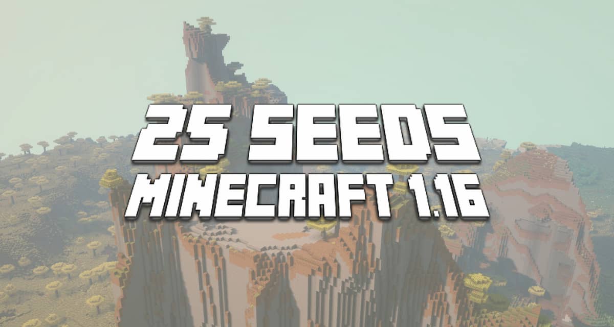 seed minecraft 1.16