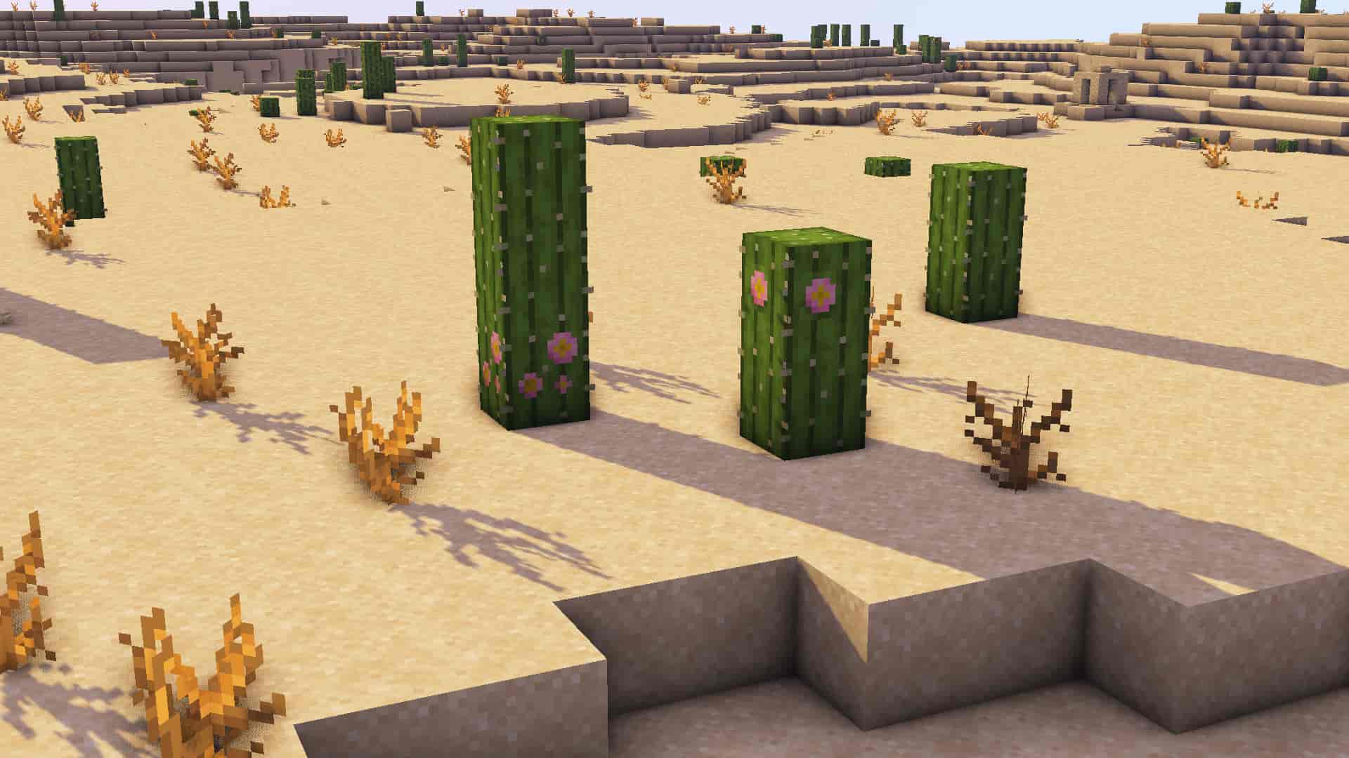 mainly photo realism resource pack 1 16 1 15 texture packs.