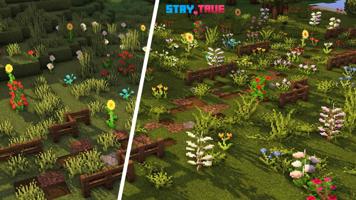 Stay True : des fleurs dans un chmaps