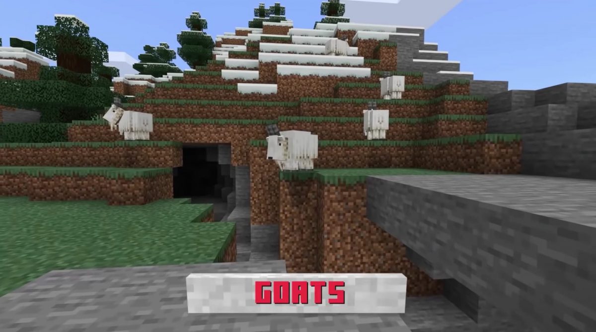 Les chèvres dans Minecraft