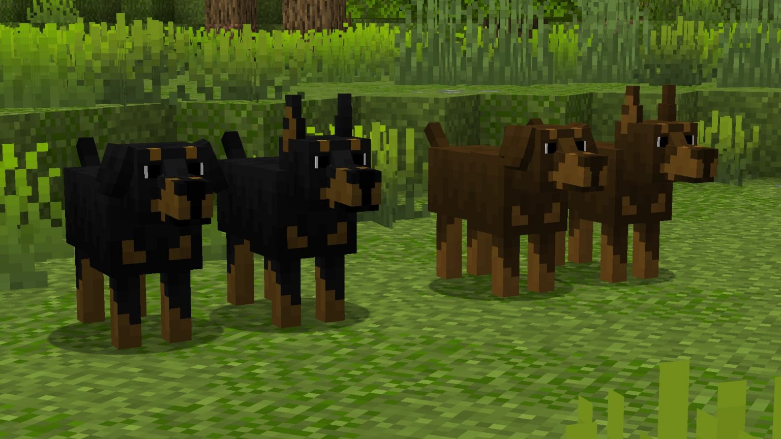🐶 Better Dogs Pack de Textures Minecraft 1.8 → 1.21 Minecraft.fr