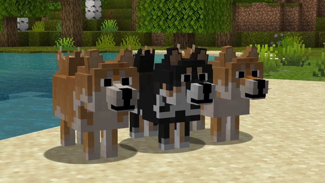 🐶 Better Dogs - Pack de Textures 1.8 → 1.19 - Minecraft.fr