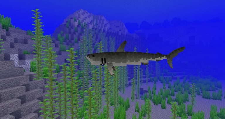[Mod] Better Animals Plus - 1.12.2 → 1.19.2 - Minecraft.fr