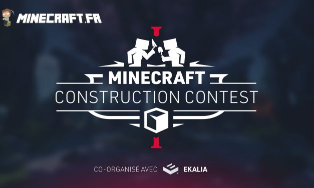 Minecraft Construction Contest I – Co-organisé avec Ekalia