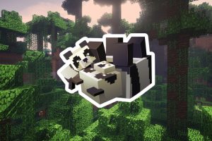 Comment adopter un panda dans Minecraft ?