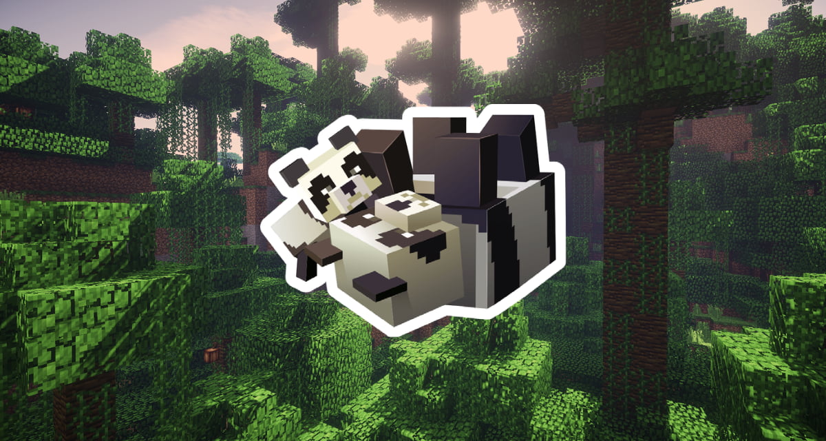 Comment adopter un panda dans Minecraft ?