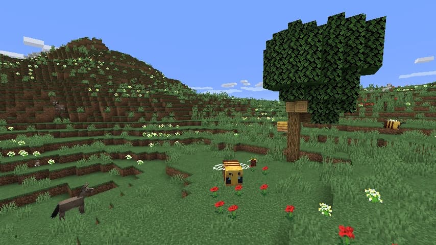 Biome de prairie Minecraft 1.18