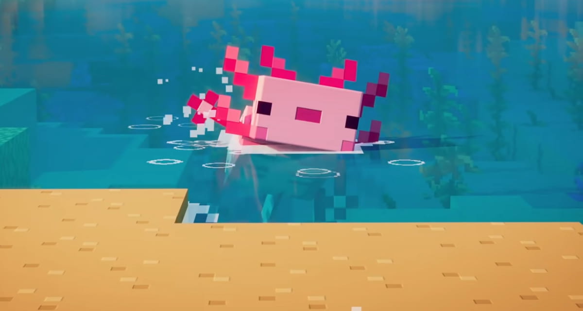« N’achetez pas un Axolotl à vos enfants pour Noël », l’étonnante recommandation de spécialistes animaliers suite à l’ajout de l’animal dans Minecraft