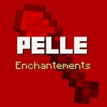 Pelle – Liste des meilleurs enchantement Minecraft