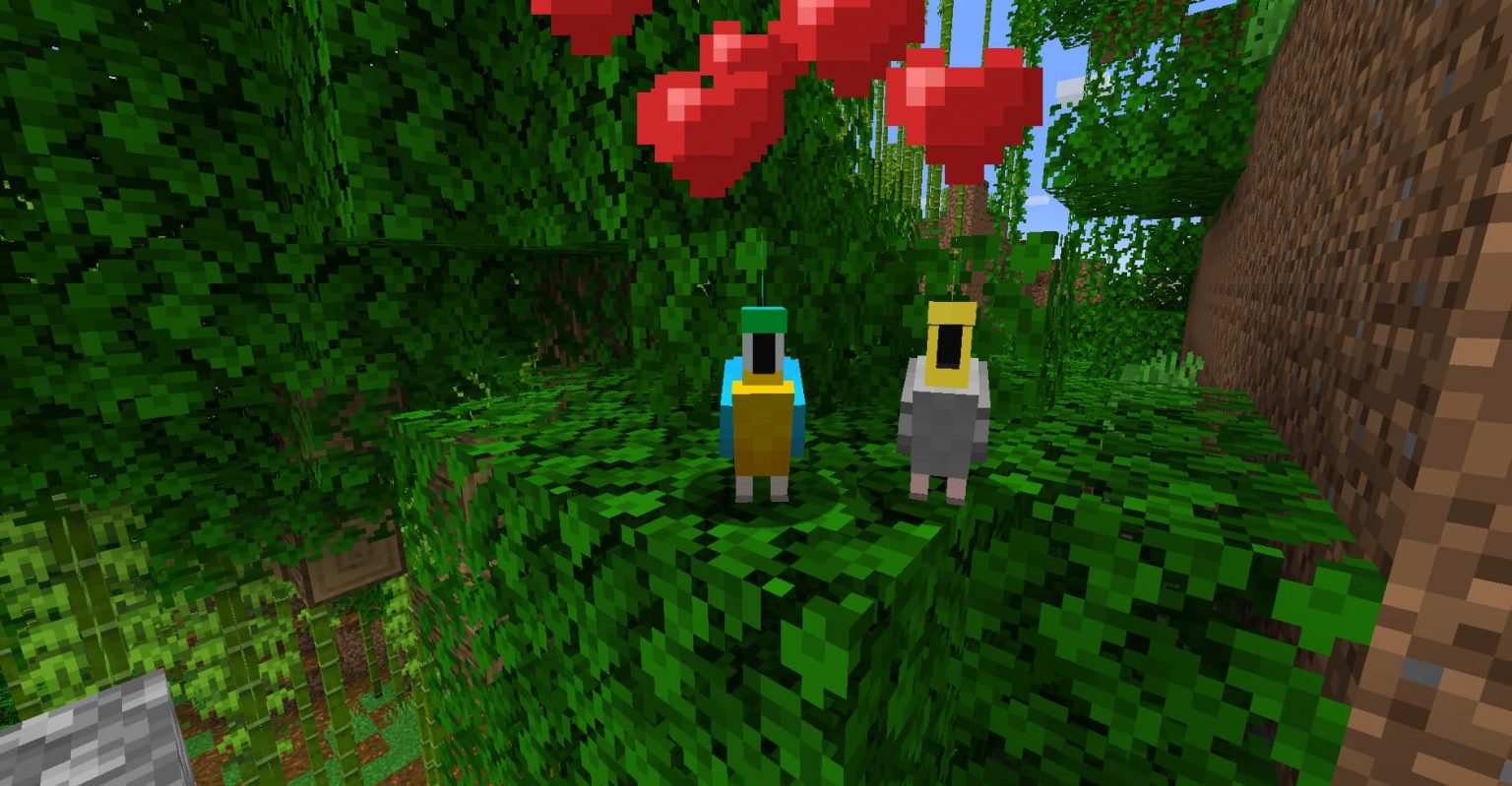 Comment apprivoiser un perroquet dans Minecraft ? 🦜 - Minecraft.fr