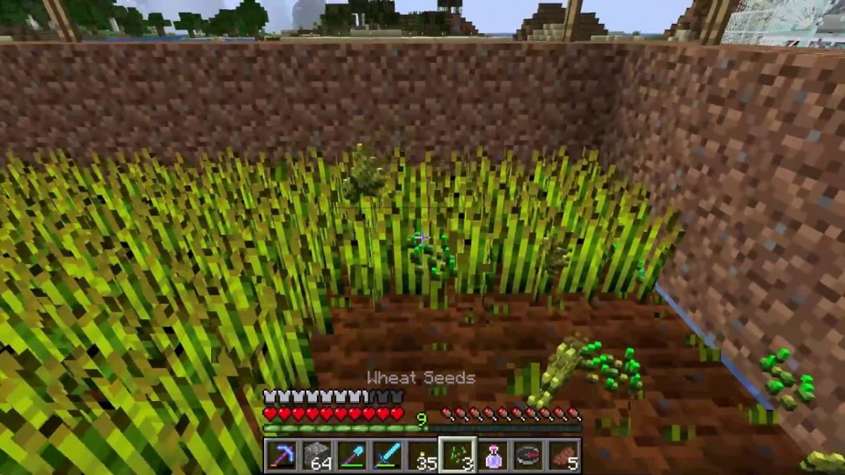 Comment apprivoiser un perroquet dans Minecraft ? 🦜 - Minecraft.fr
