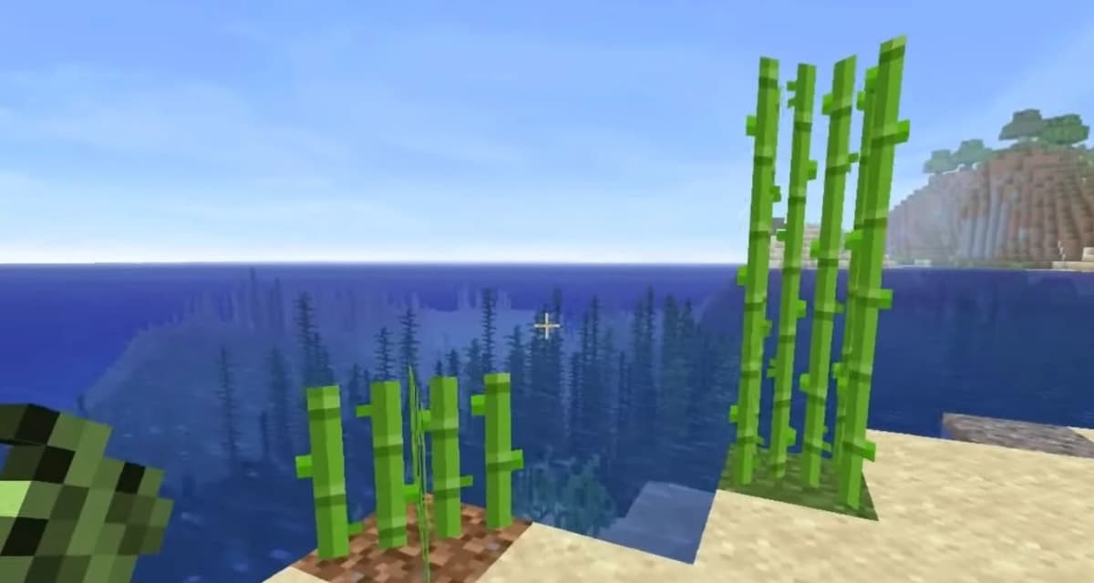 Comment construire une ferme de canne à sucre dans Minecraft ?