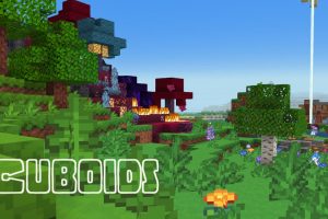cuboids-resource-pack