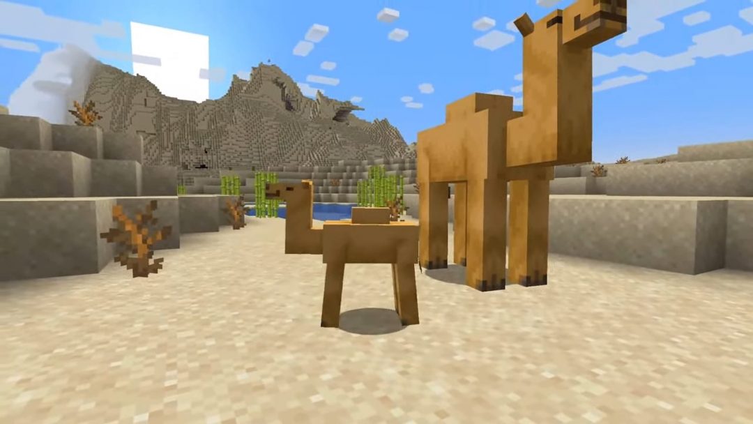 Dromadaire Minecraft : tout ce que l'on sait de cette créature