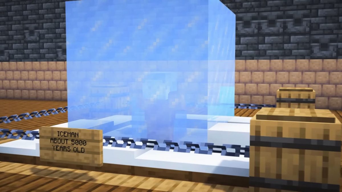 Steve Minecraft mort glace