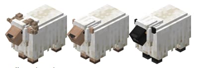 Modeles 3D de mouton avec le pack Animals Redone