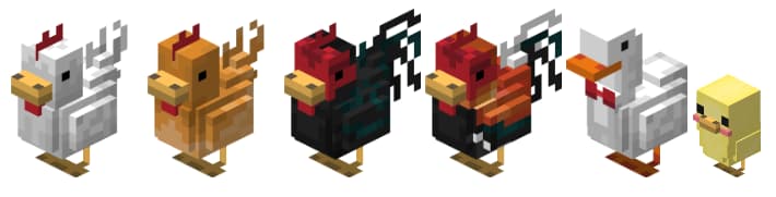 Modeles 3D de poulets avec le pack Animals Redone