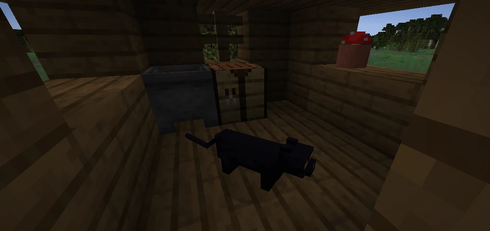 chat noir cabane sorcière minecraft