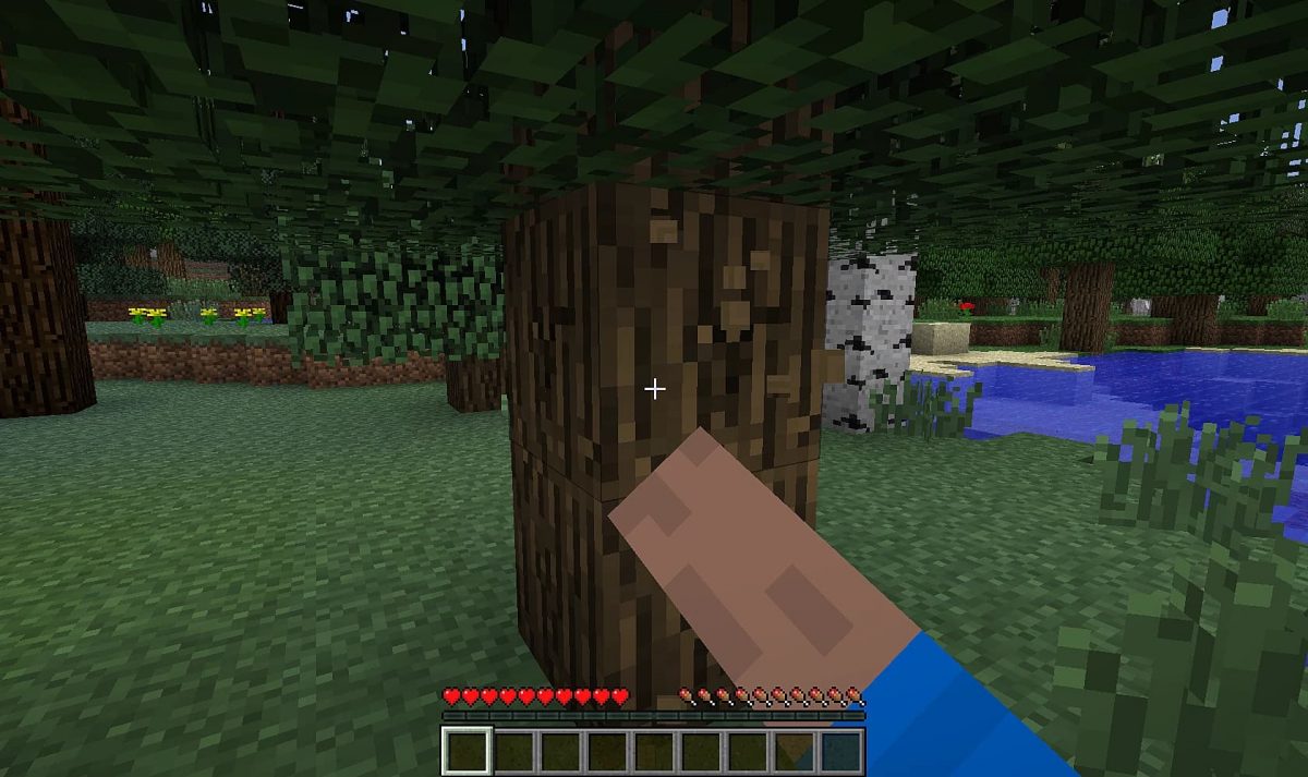 10 - Collecter du bois sur un arbre et fabriquer ses premiers outils