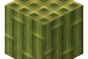 bloc bambou minecraft