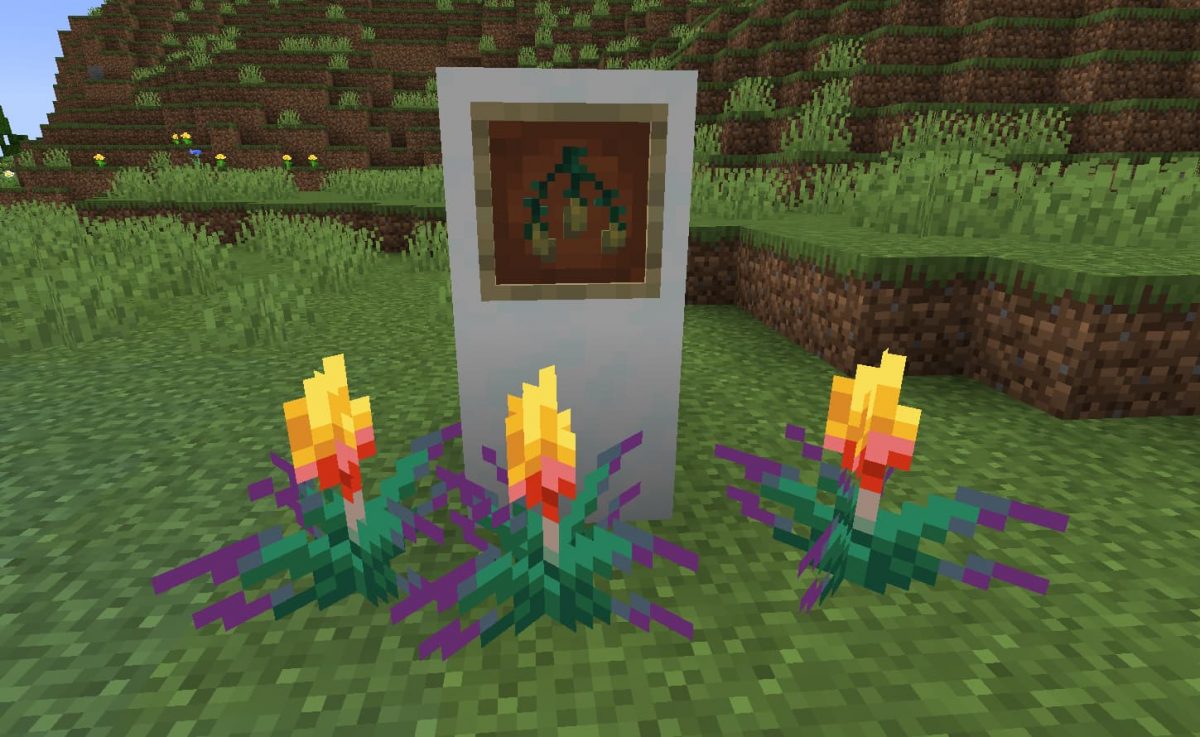 torche-fleur minecraft