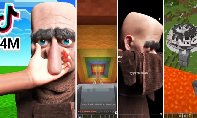 Les TikToks Minecraft les plus vus sont … Très étranges !