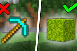 minecraft-40-astuces-pour-passer-au-niveau-superieur-et-devenir-un-pro