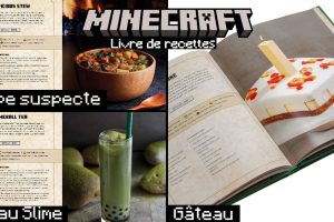Livre de recettes Minecraft : découvrez des recettes uniques