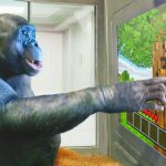 L'incroyable histoire du singe qui a appris à jouer à Minecraft : une avancée pour la recherche sur le comportement animal