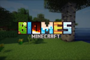 biomes minecraft
